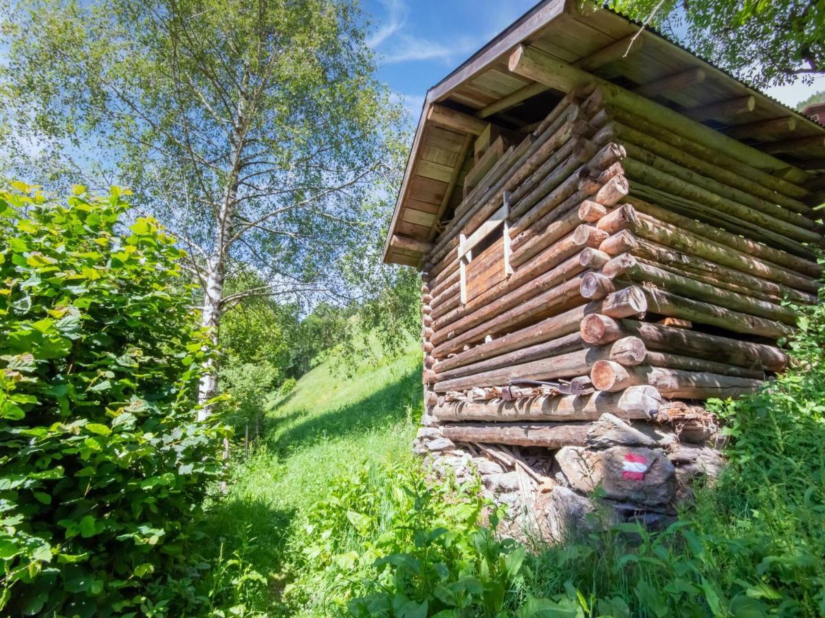 Cosy Holiday Home At The Wildkogel Bramberg am Wildkogel Exterior photo